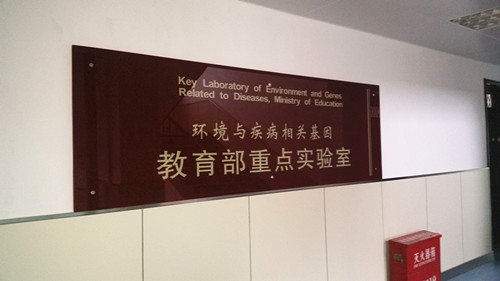 &#20247;&#24425;&#23448;&#32593;&#45;&#40;&#20013;&#22269;&#41;&#32929;&#20221;&#26377;&#38480;&#20844;&#21496;